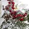 17" Frosted Magnolia & Berry Artificial Arrangement Candelabrum